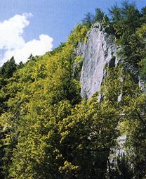 Hängebrücke Weizklamm