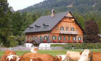 A traditional wooden house with a green roof and balconies, surrounded by a meadow. Cattle graze peacefully in the foreground.
