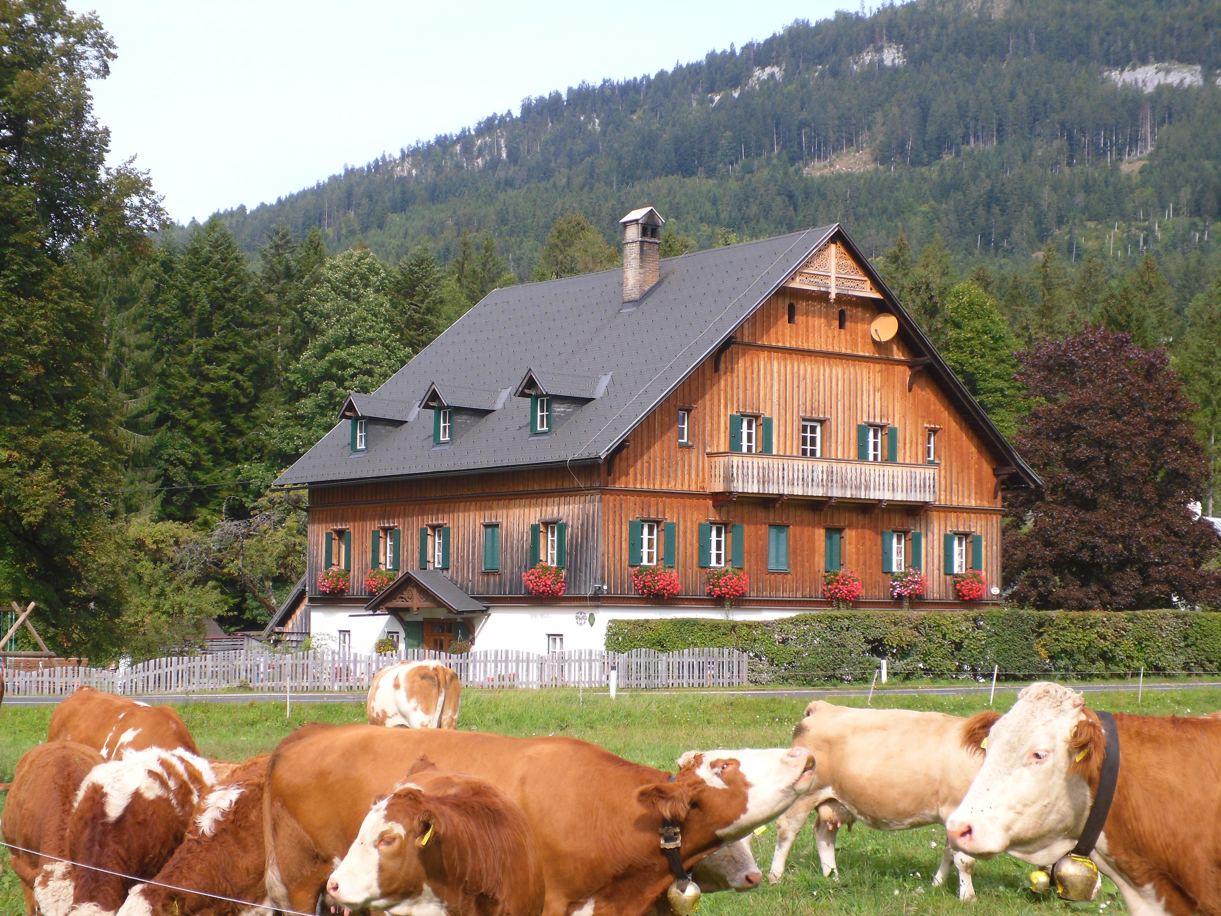 The Traunmühle