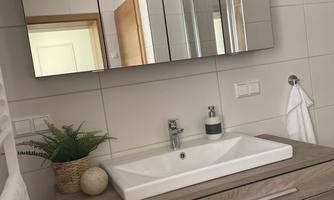 A modern bathroom with a sink and a large mirror. The wooden cabinet and the plants create a pleasant atmosphere.