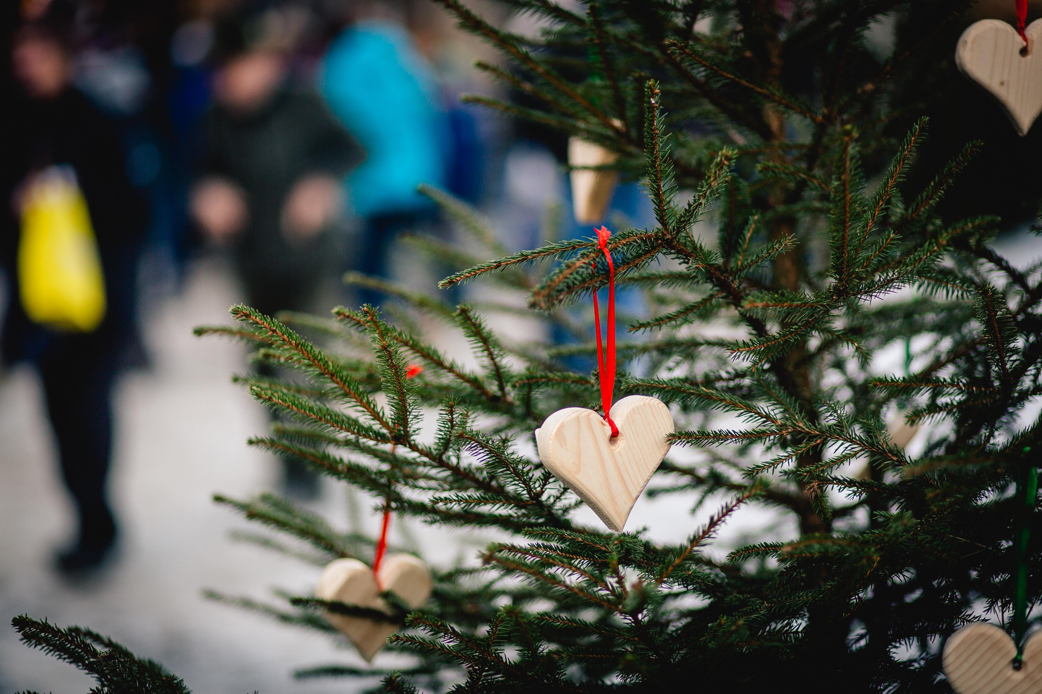 Waldheimatmarkt mit Adventauftaktveranstaltung