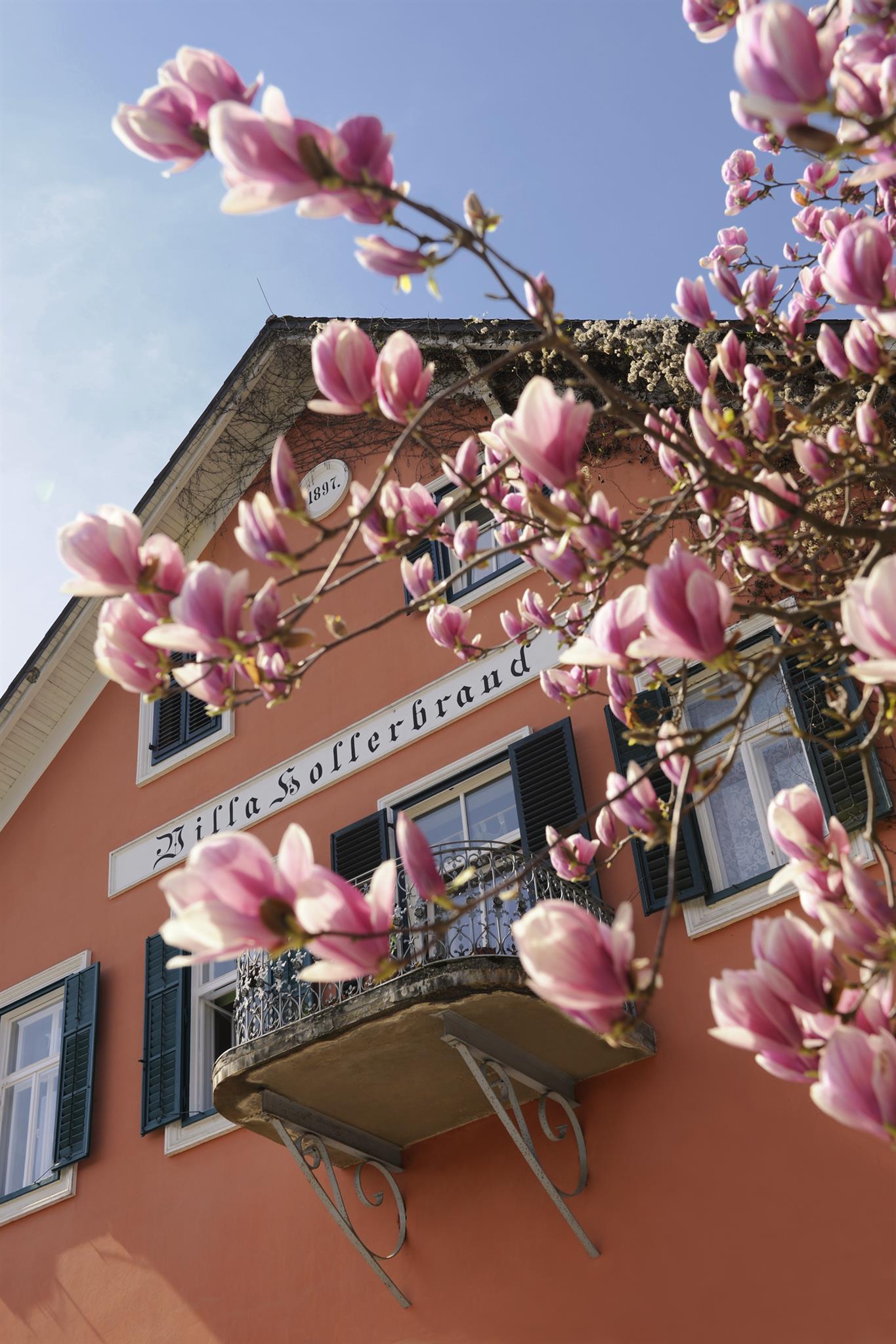 Dinner im Weingarten – Weingut Harkamp x Broadmoar