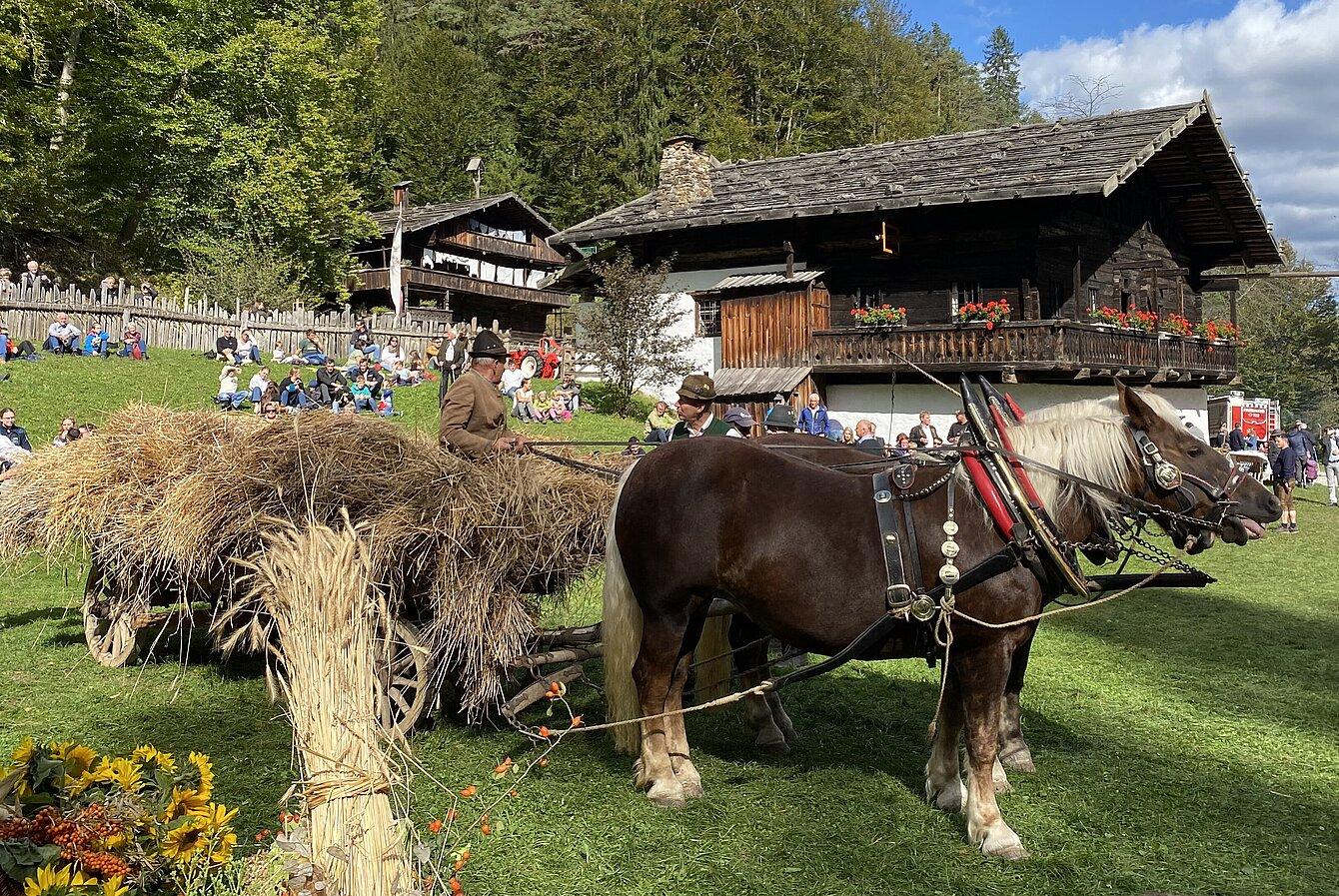 Erlebnistag in Stübing