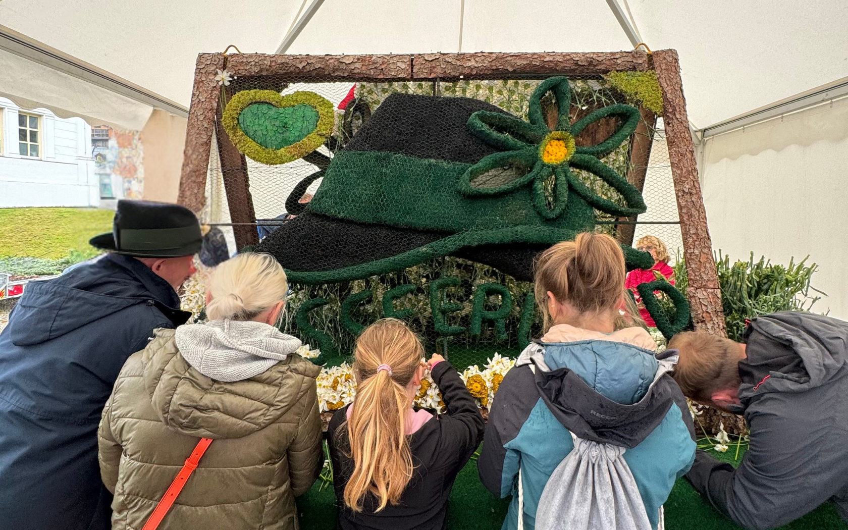 Schaustecken einer Narzissenfestfigur