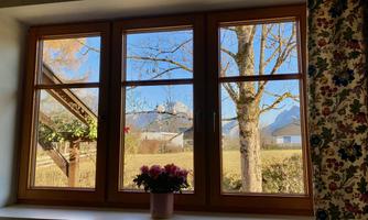 A view from a window with a beautiful view of mountains and a tree. Inside, there is a blooming plant on the windowsill.