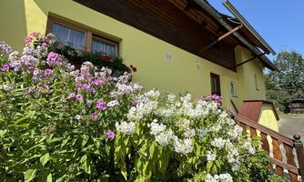 A yellow house with flowers in the foreground. The colorful flowers give the building an inviting impression.