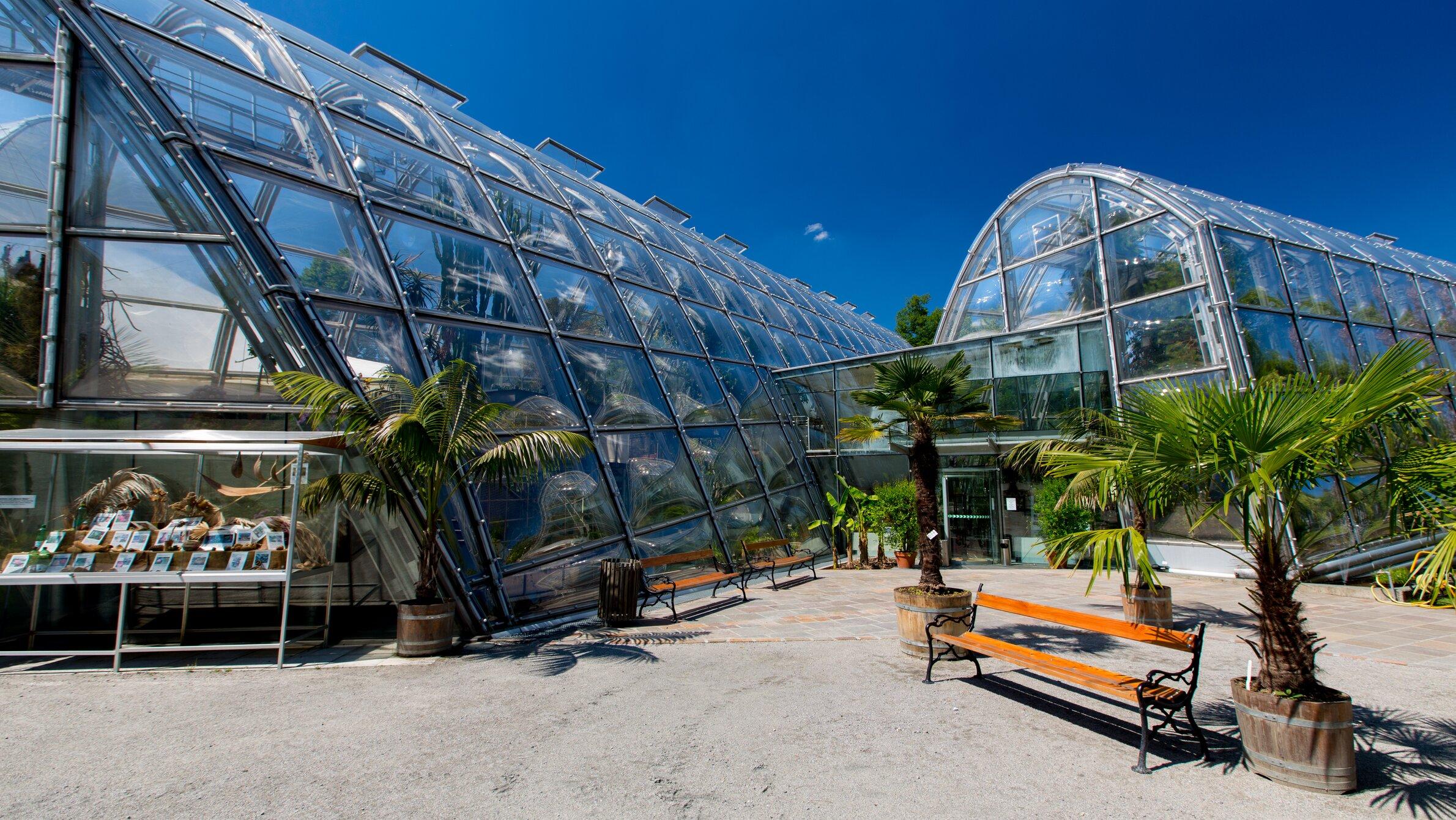 Botanischer Garten Graz: Mit Baby ins Museum