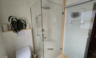 A modern bathroom with a glass shower and a toilet. There is also a plant that creates a pleasant atmosphere.