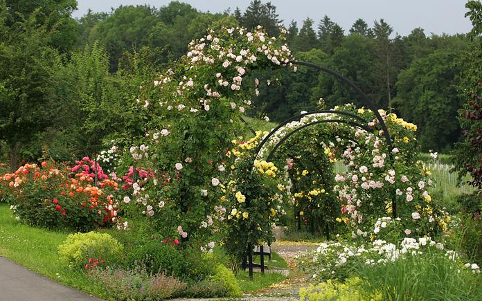 Rosengarten St. Peter am Ottersbach