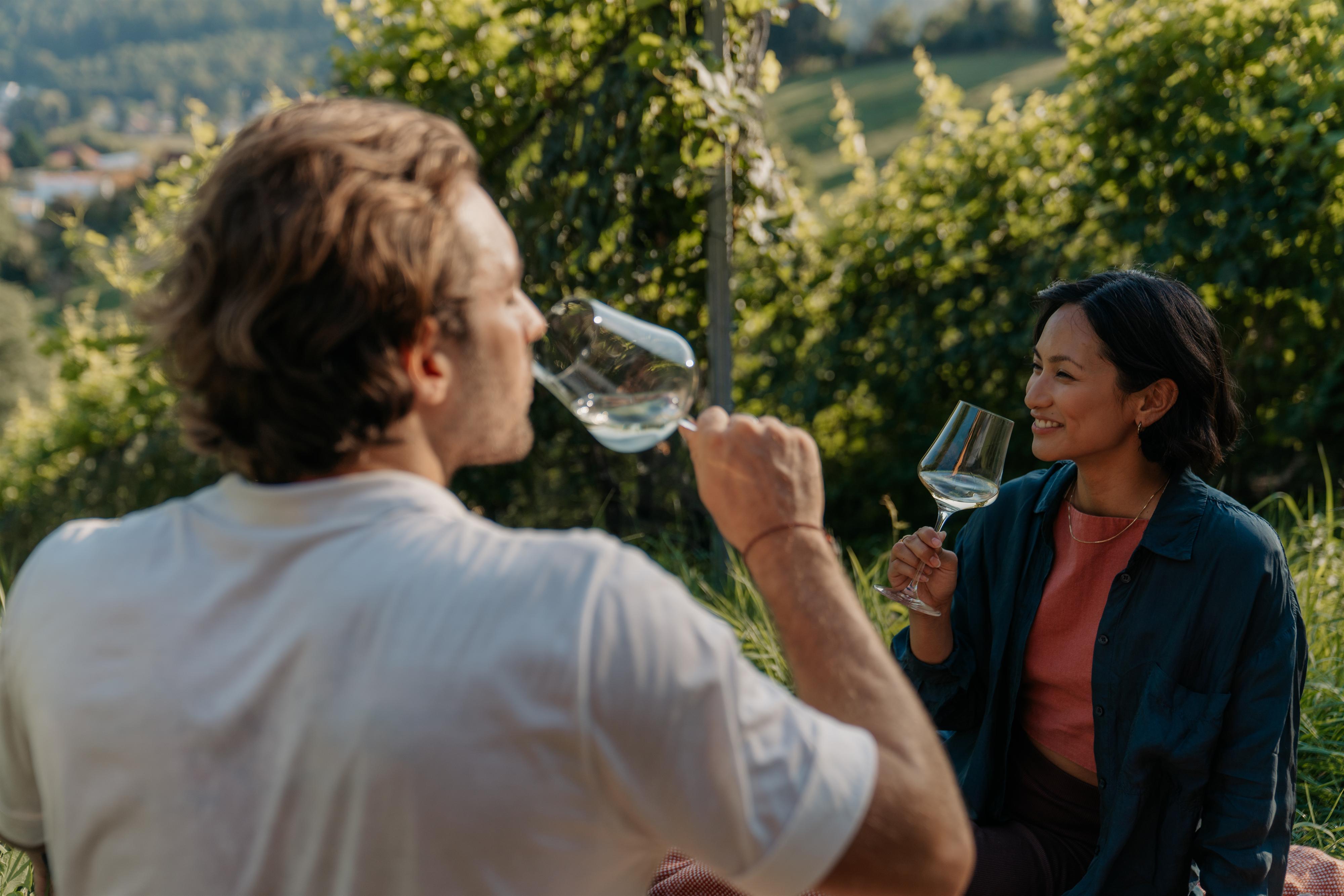 Weinführung: Vom Schloss zum Wein