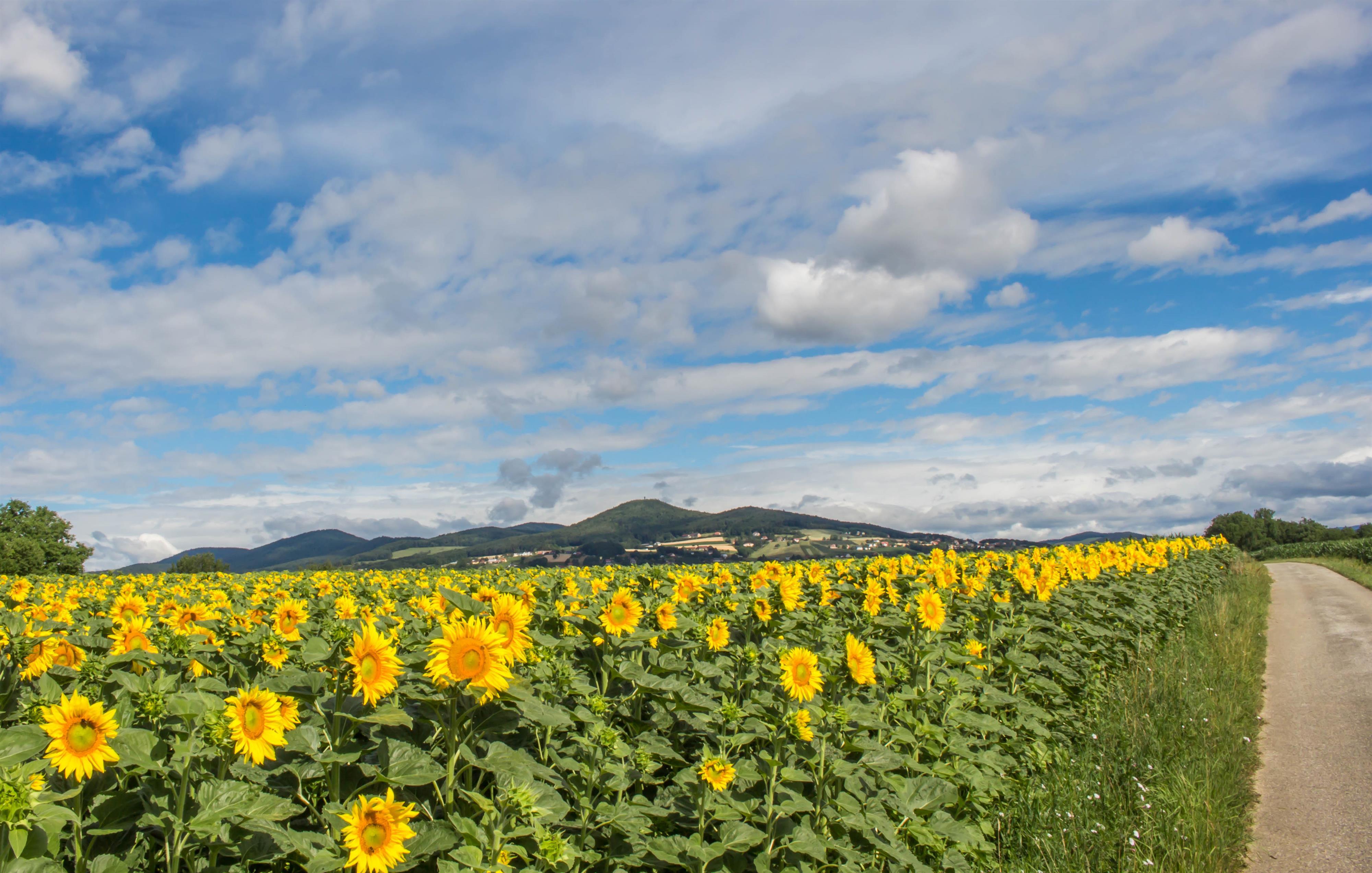 Familienwandertag Bad Waltersdorf