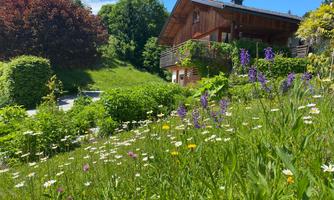 A beautiful house surrounded by colorful flowers and green grass. The sun is shining and the sky is blue.