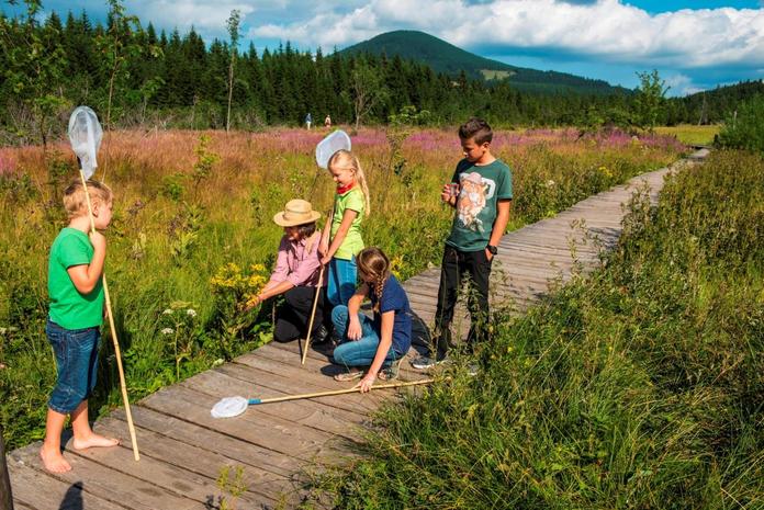 125 Alpträume in Grün - Naturpark Führung