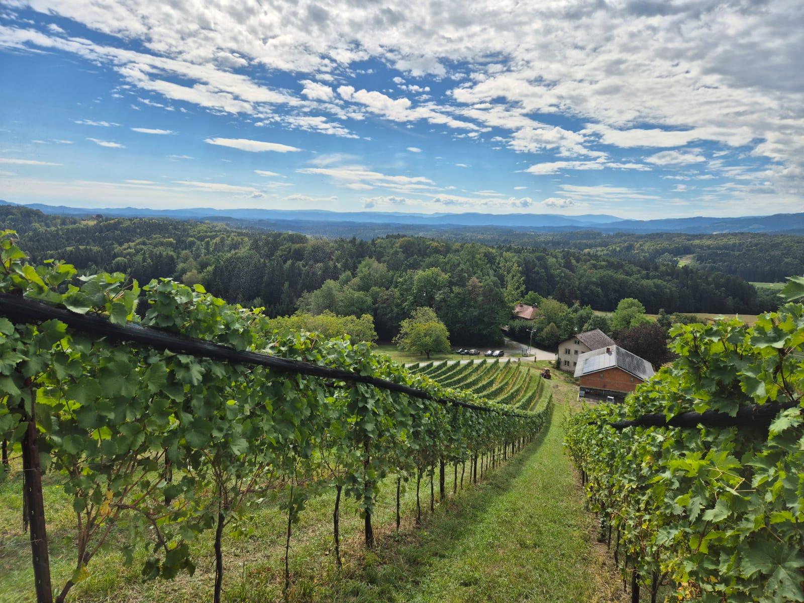 Den Herbst feiern beim Weingut FUEL