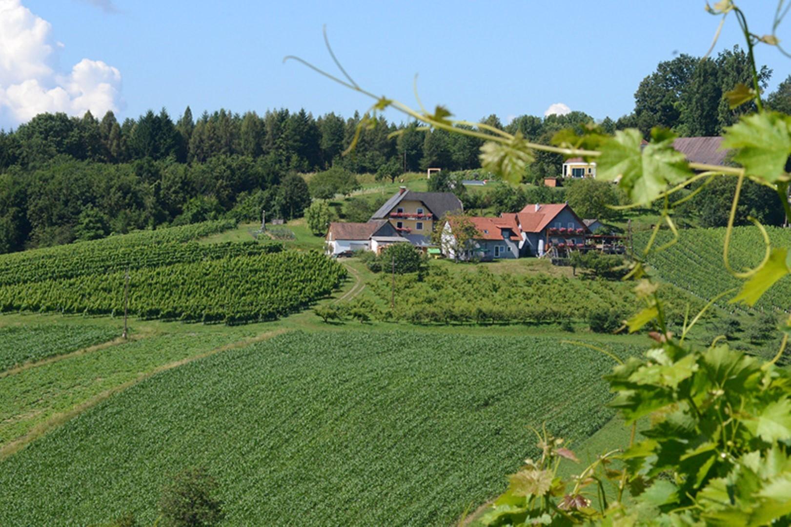 Schlachttage – Weinkulinarium Tscheppe-Kapun