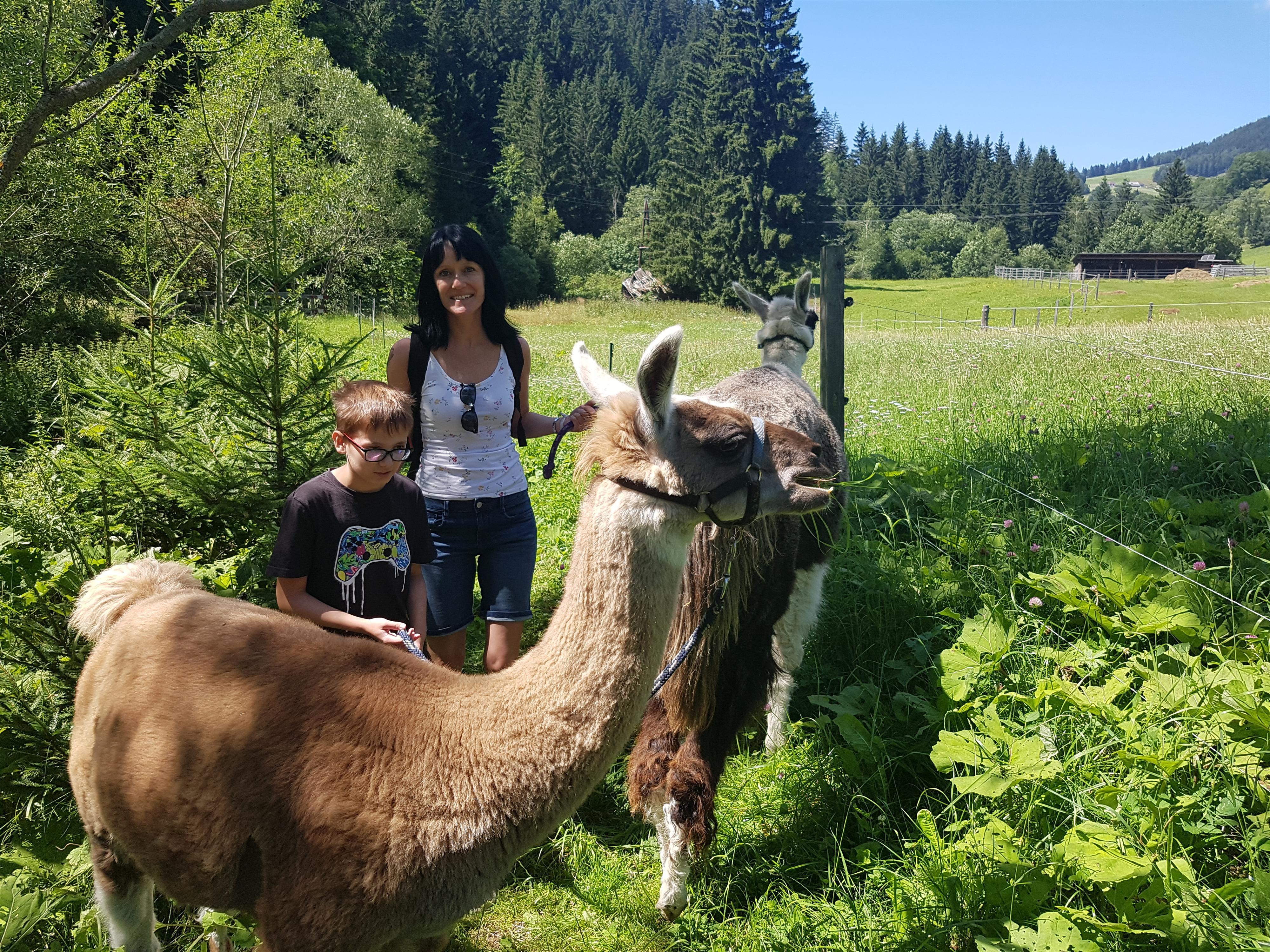 Tagestour: Mit den Lamas zu den herrlichen Hochalmen