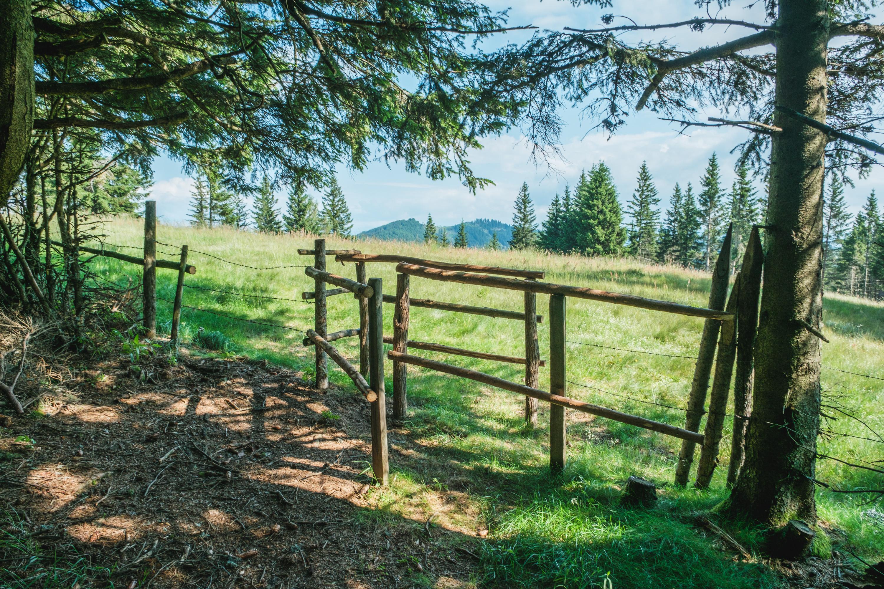 Geführte Wanderung: Hochtour vom Gamsgraben auf die Hochalm
