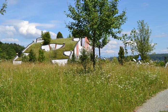 Keltischer Baumreigen Bad Blumau