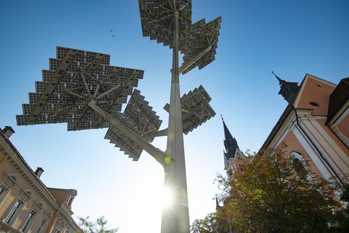 Solarbaum Gleisdorf
