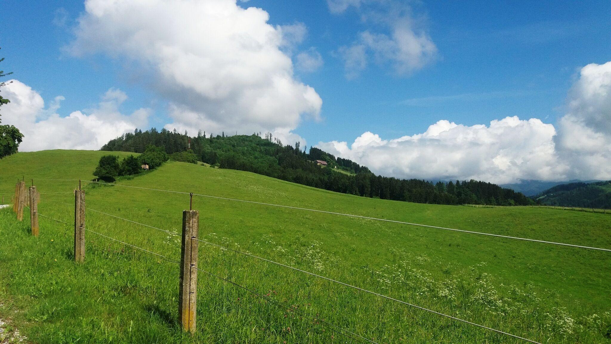 Geführte Wanderung: Über den Turnersteig nach Graden