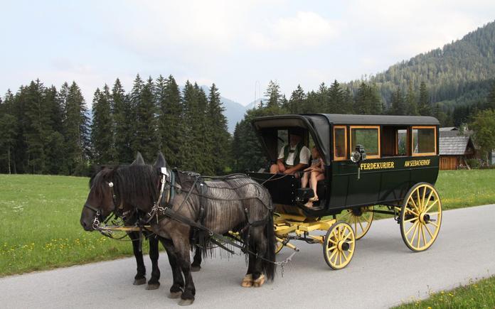Pferdeschlitten- und Kutschenfahrten "Am Seebacherhof"