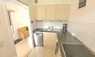 A modern kitchen with light cabinets and a gray countertop. The equipment includes a dishwasher and a cooking plate.