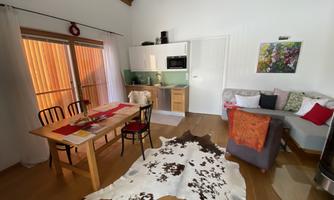 A cozy living area with an open kitchen, a dining table, and comfortable sofas. The floor is decorated with a rug in cowhide look.