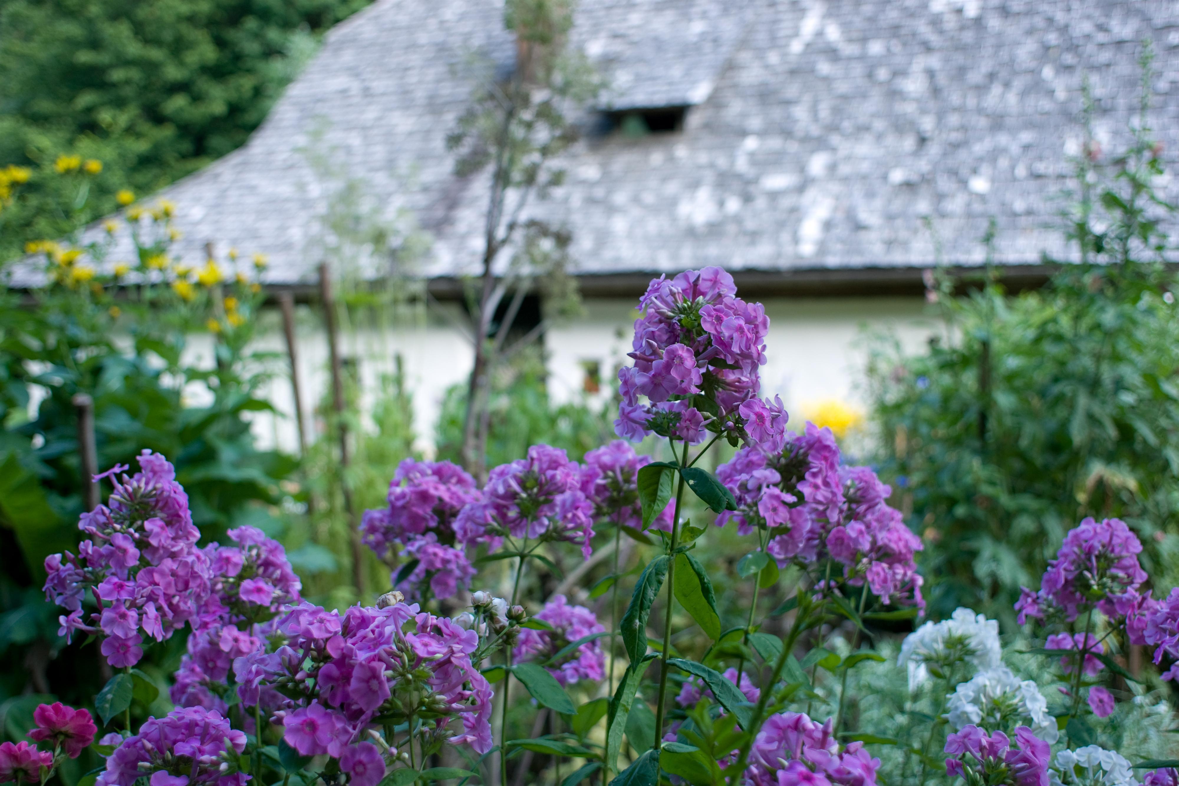 BLOOM-Tag im Österreichischen Freilichtmuseum Stübing