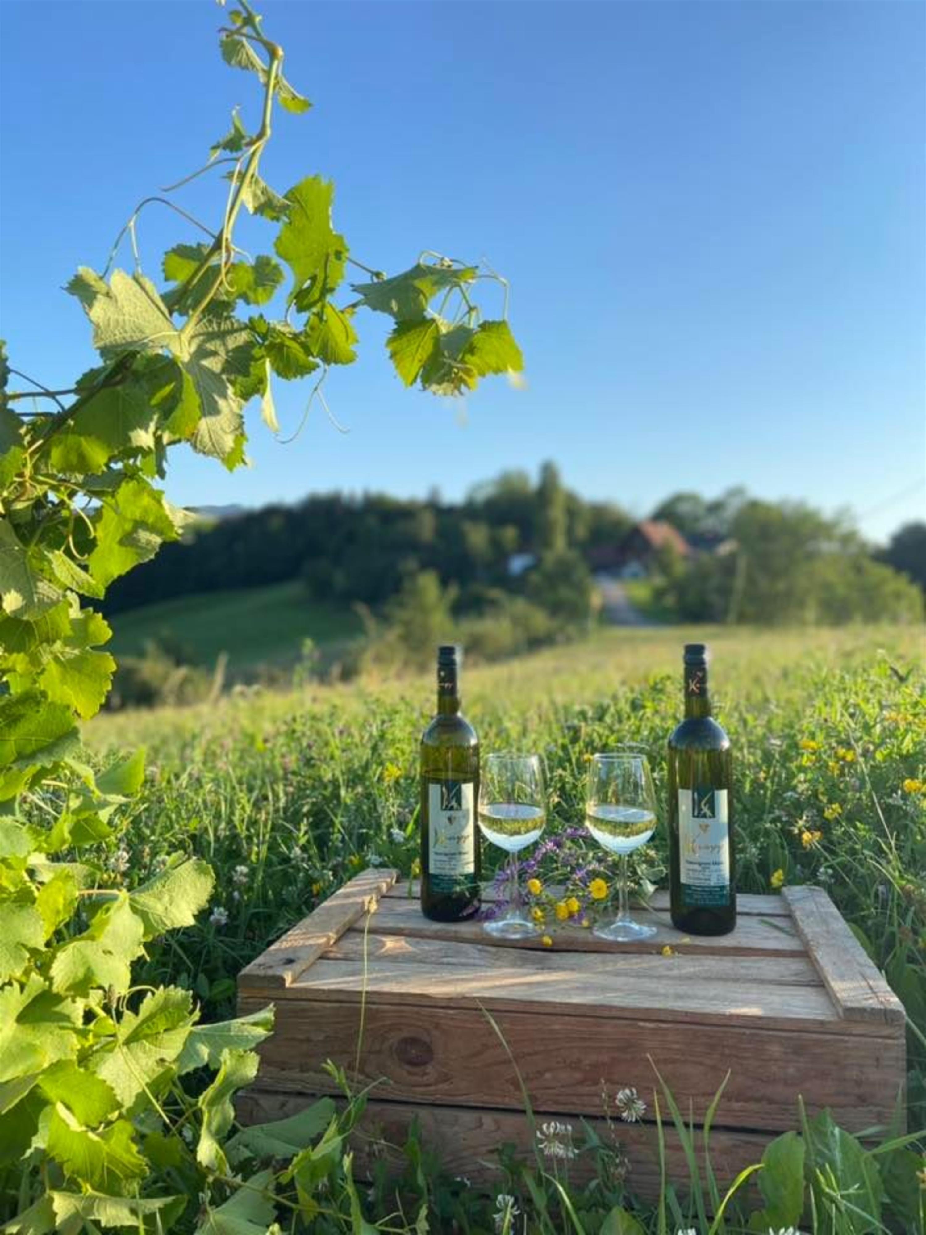 Fest am Ploschitzberg