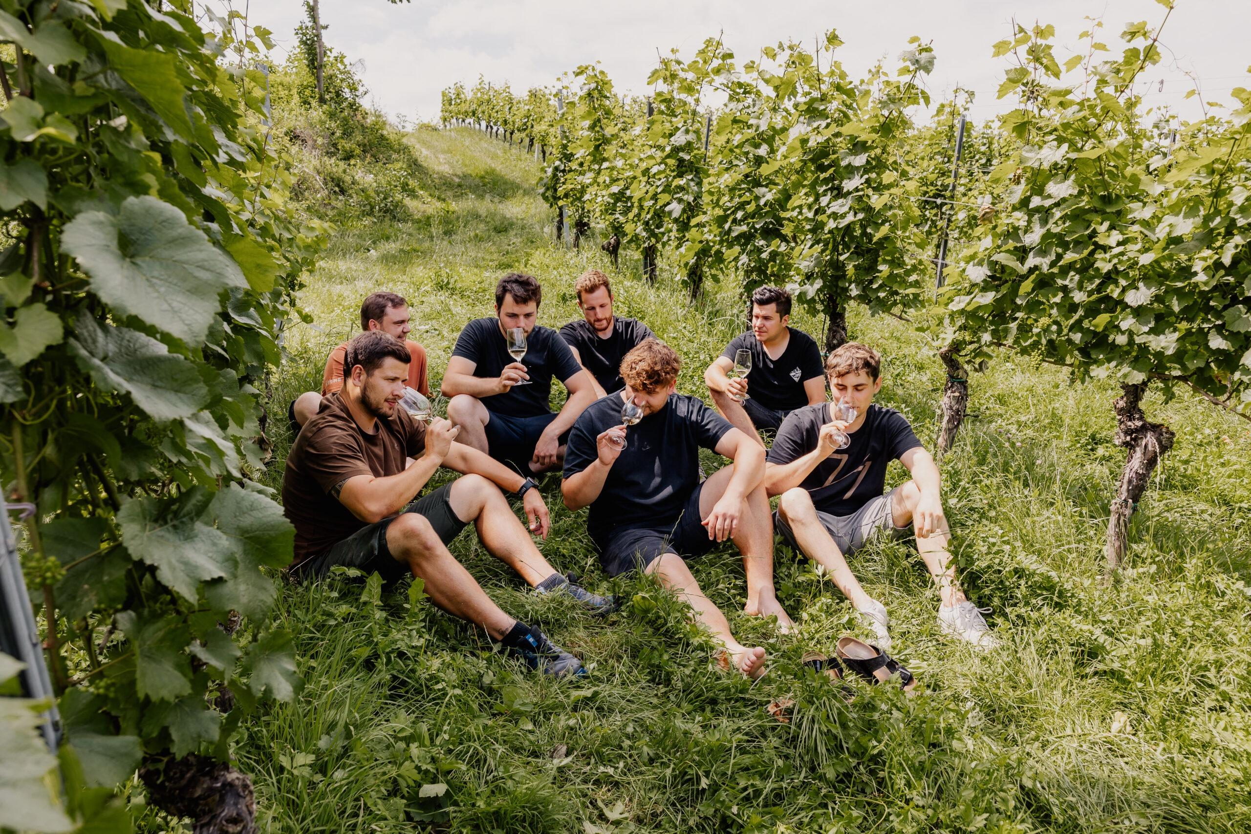 Wein unter Freunden – die Jahrgangspräsentation der SIEME Weingüter