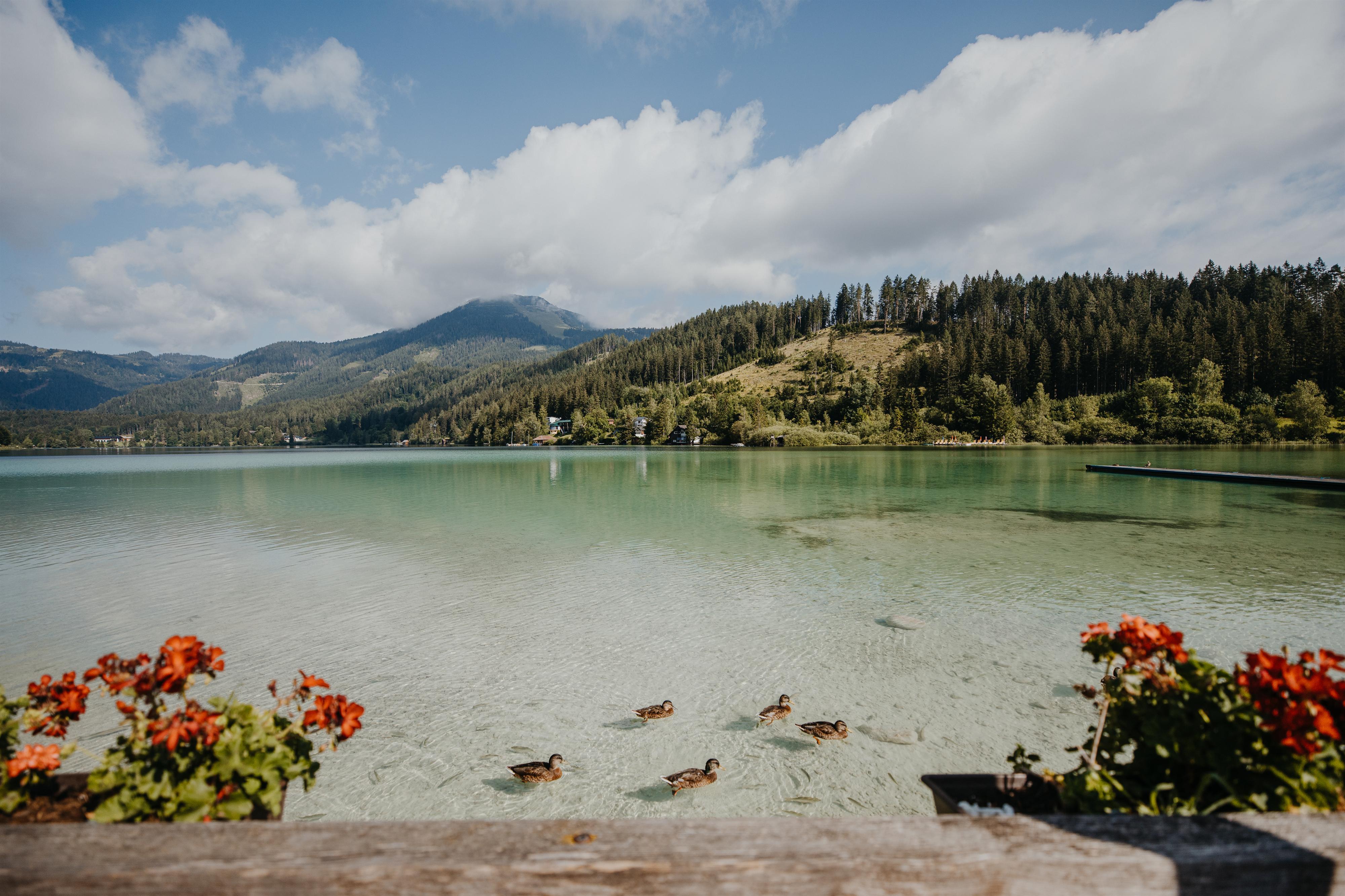 8. Night-Run am Erlaufsee