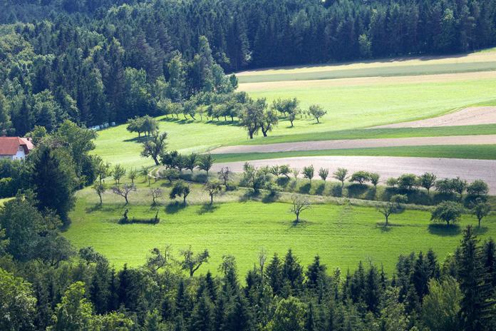 Renaturierung