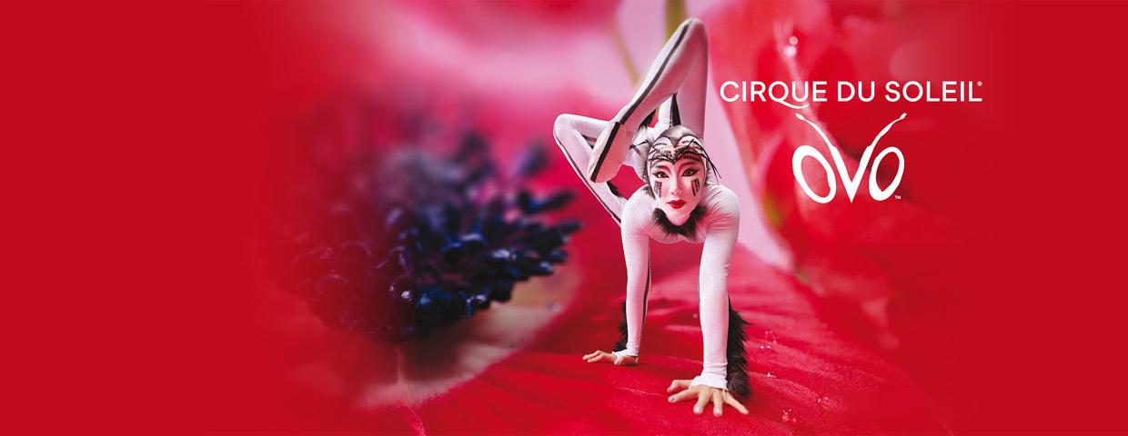 Cirque du Soleil