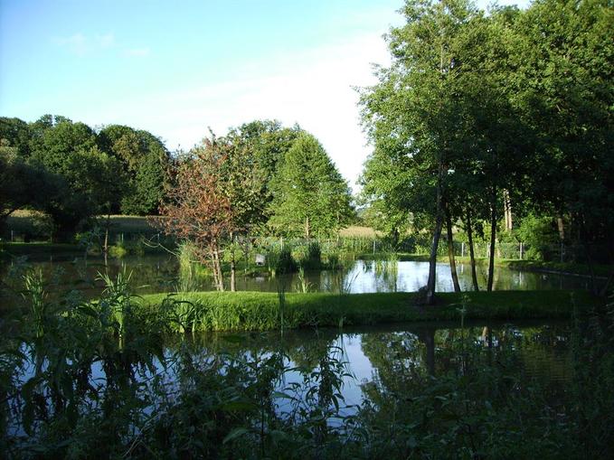 Fischertreff Laasen