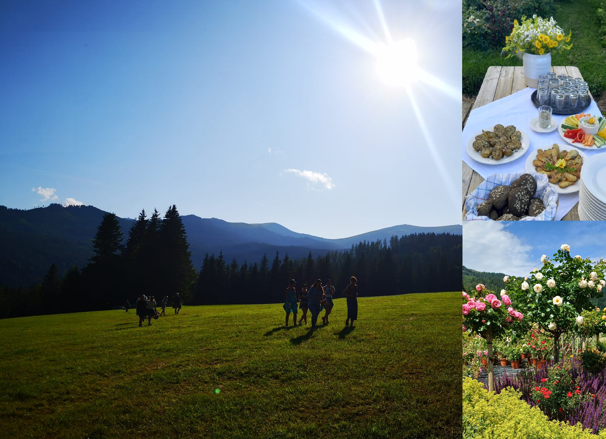 Almkräuterführung mit Picknick im Rosengarten