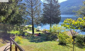 A picturesque view of a calm lake surrounded by tall trees and green grass. Sun loungers are ready at the shore to enjoy nature.