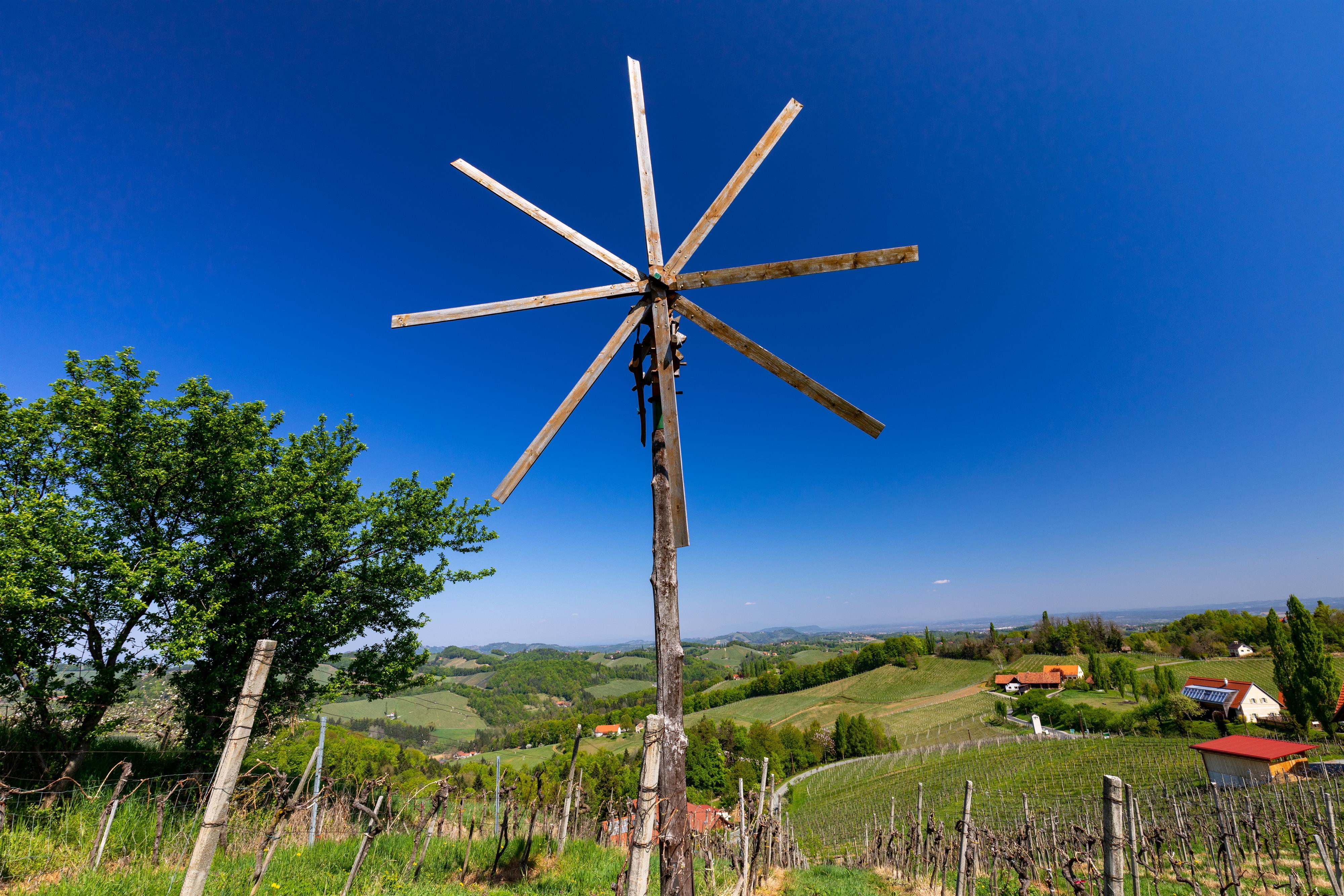 Fest am Weinberg