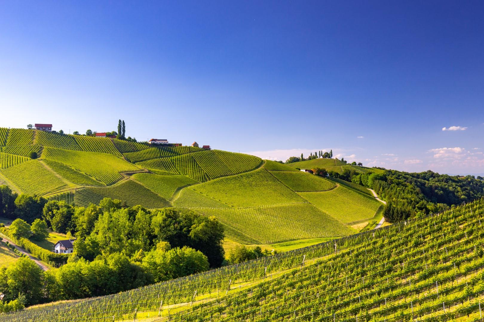 Gravelei – Südsteiermark