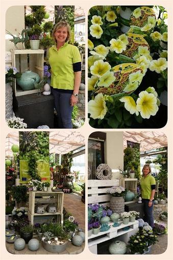Blumen & Gärtnerei Gleichweit