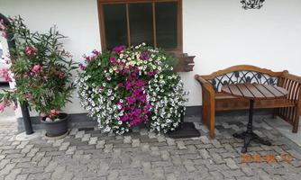 A cozy seating area in front of a house with a wooden bench and a small table. Colorful flower bushes bring color and life to the outdoor space.