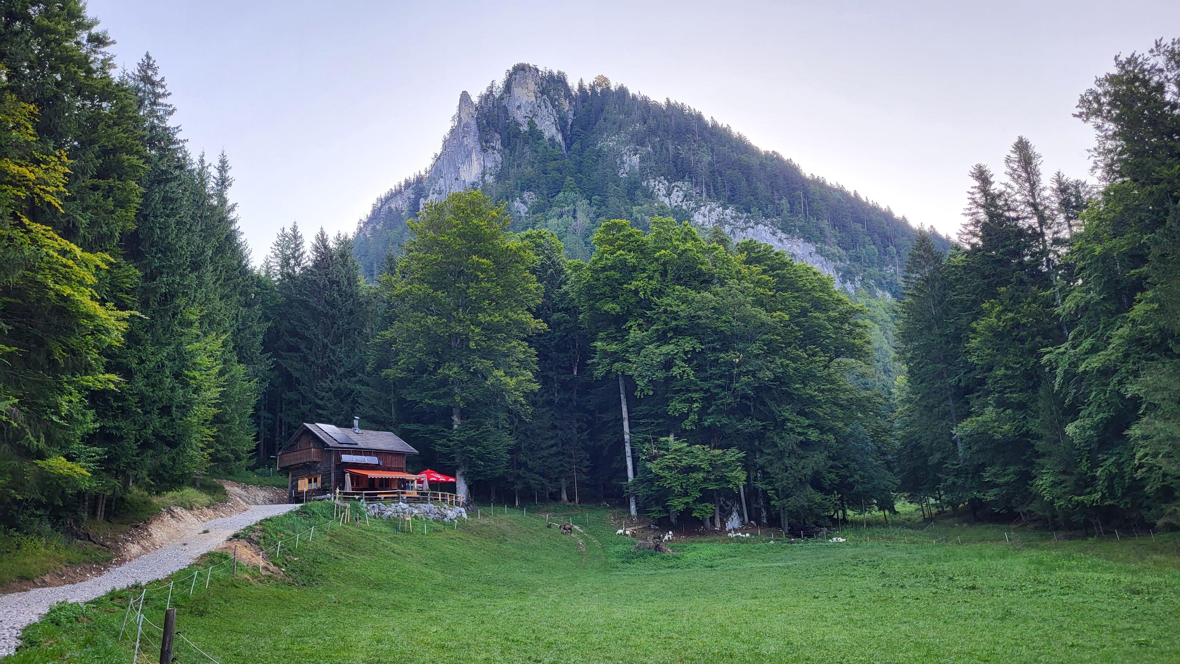 Kesselheisse Würste