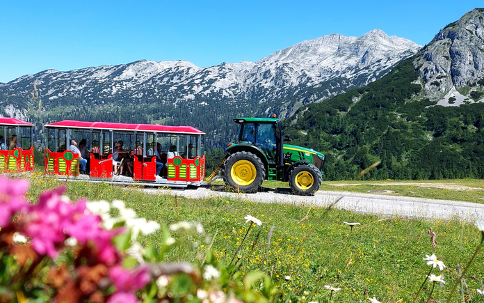 Bummelzugfahrt auf der Tauplitzalm - Berggasthof Hollhaus