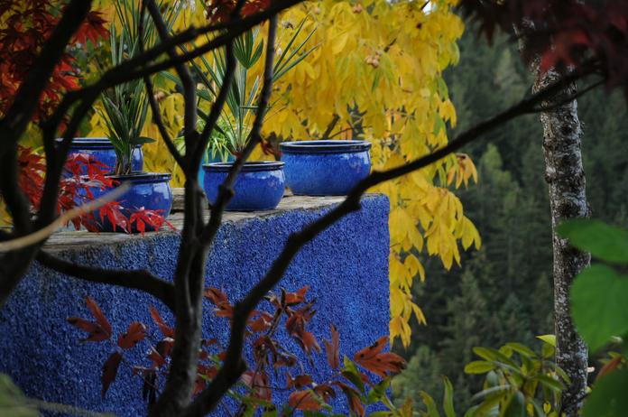 Farbenspiel des Herbstes beim Sulamith Garten