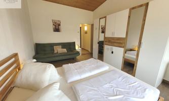 A cozy bedroom with a wooden paneled ceiling and a double bed. The room also features a green sofa bed and a wardrobe.
