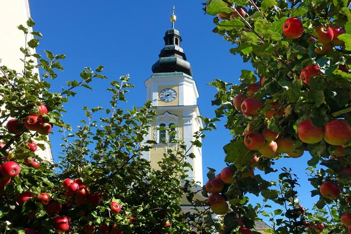Pfarrkirche Wenigzell
