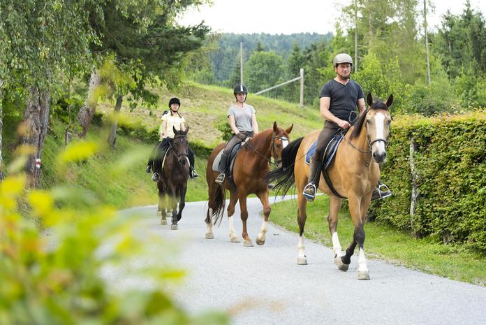 Reiten Hotel Muhr