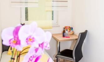 A bright room with a desk and a chair. In the foreground, purple orchids are blooming.