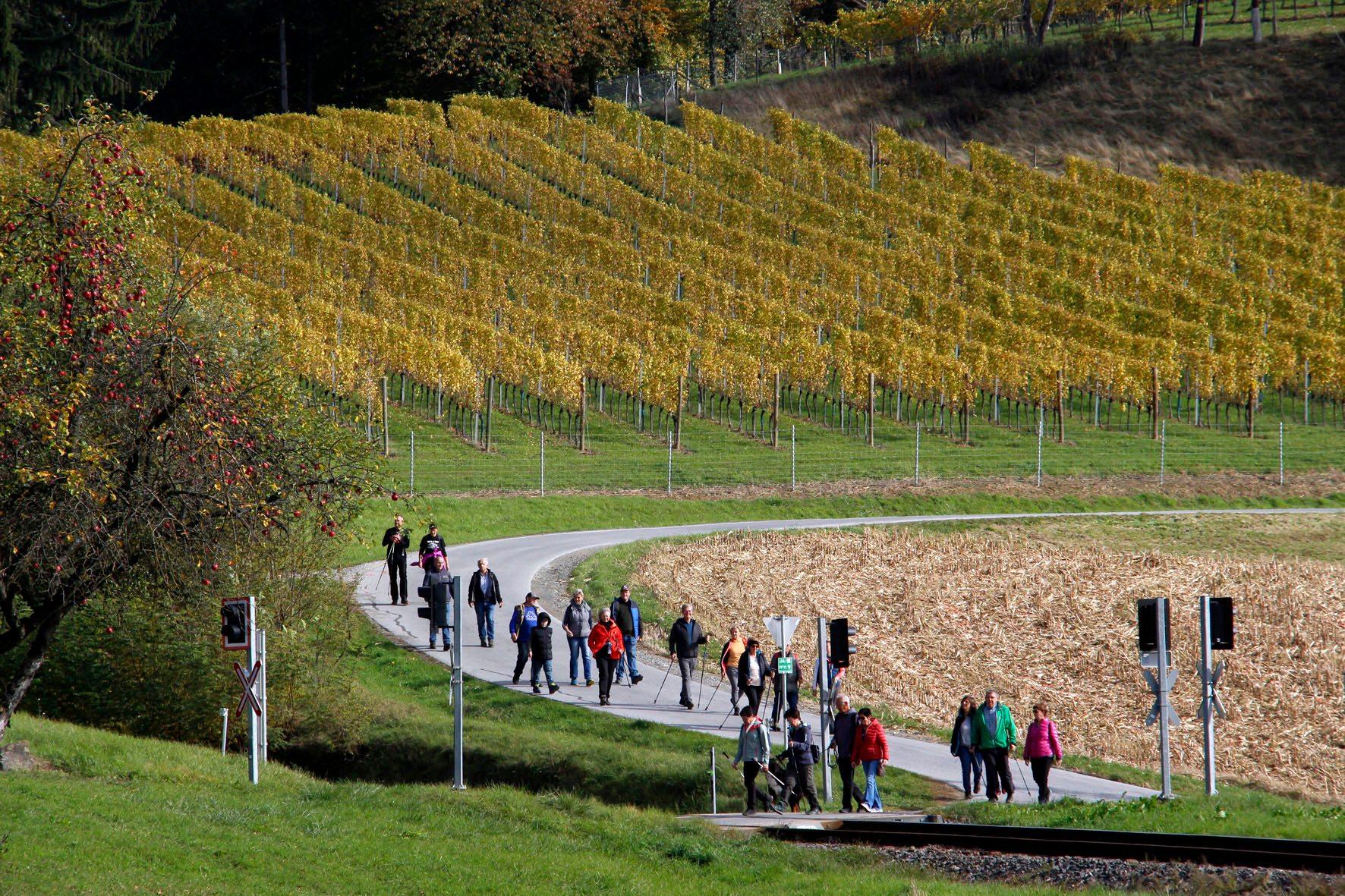 Söchauer Kräuter – Hexen – Wandertag