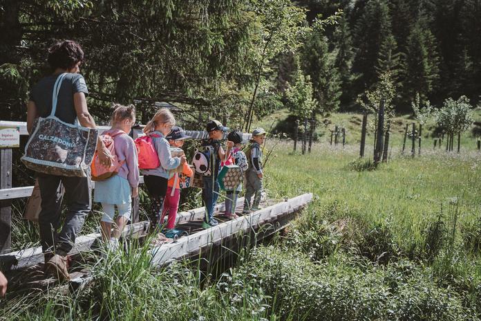 Sommererlebnistage Wiesenwerkstatt & Sommerkunst – Kreativtag am Huberhof