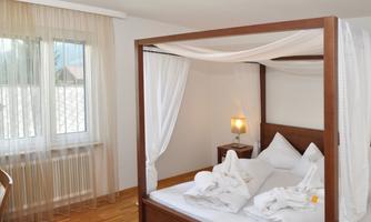 A modern bedroom with a canopy bed and cozy bedding. Large windows let in plenty of daylight, creating an inviting atmosphere.